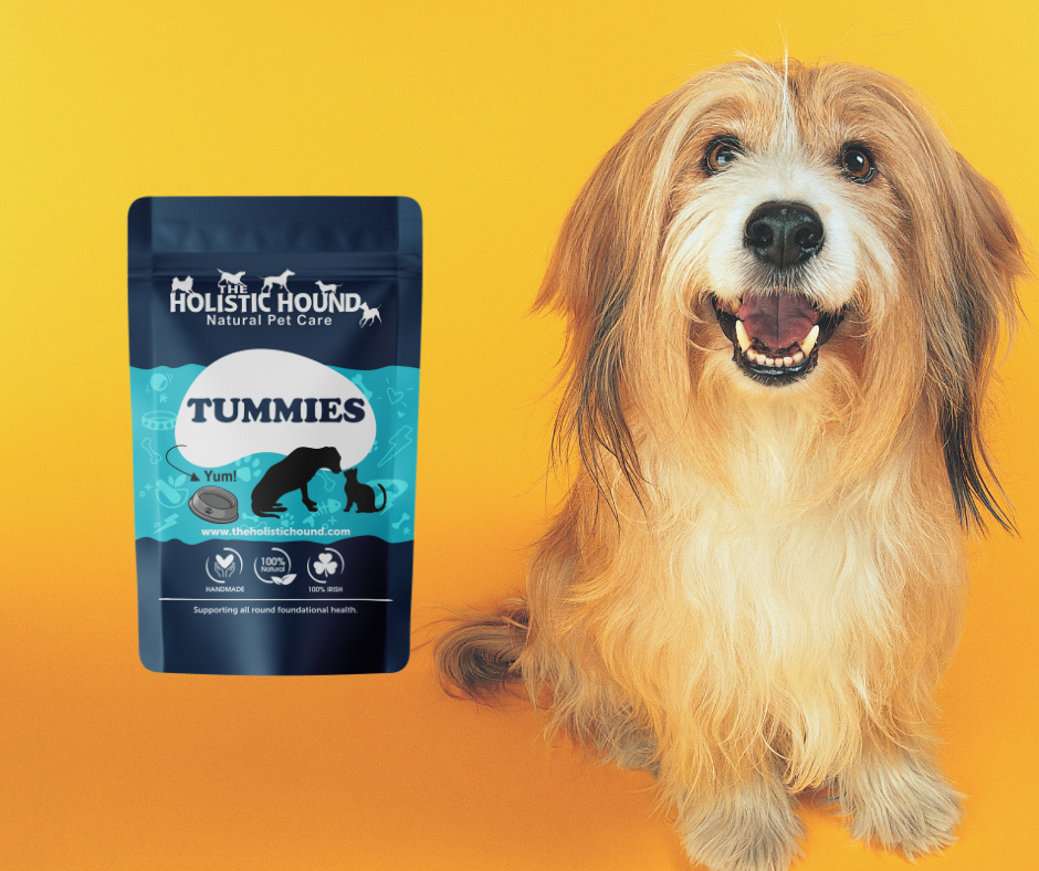 Tummies